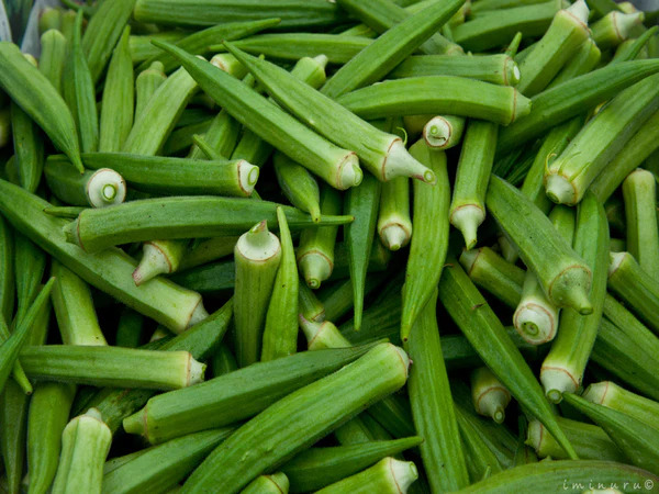 Ladyfinger