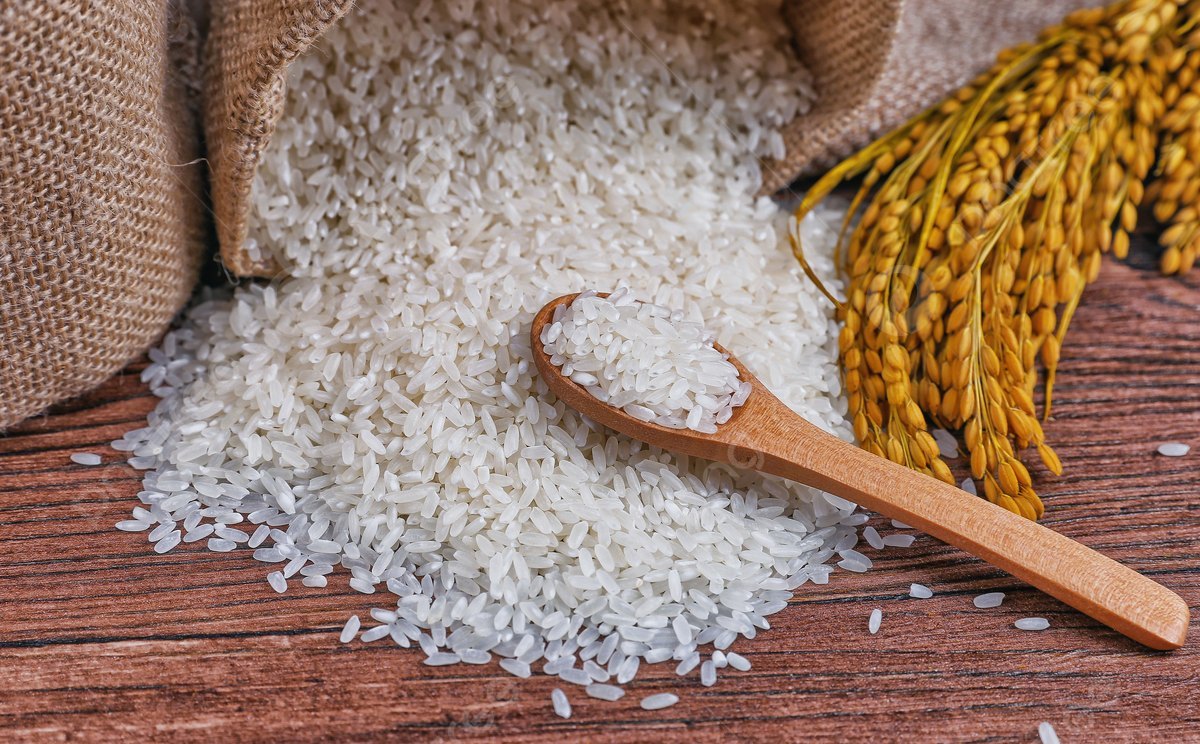 Rice
